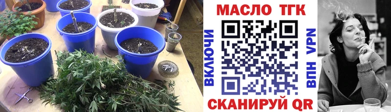 как найти закладки  omg вход  ТГК гашишное масло  Котовск 
