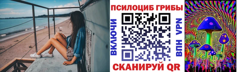 hydra ссылки Котовск Галлюциногенные грибы прущие грибы