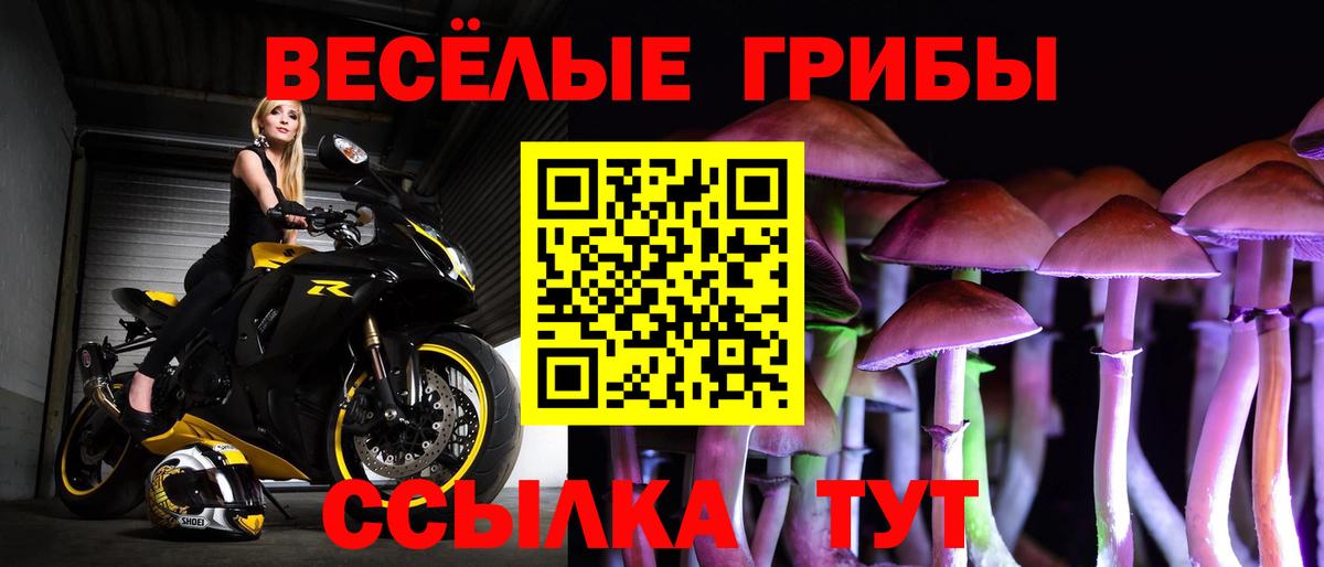 Галлюциногенные грибы мицелий  закладка  Котовск  Вход с VPN 